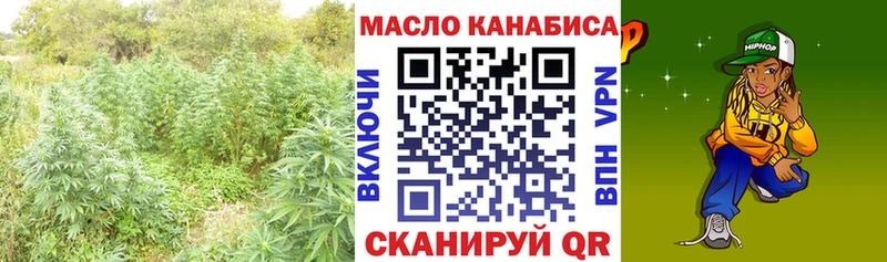 Дистиллят ТГК Wax  Купить закладки  Гудермес 