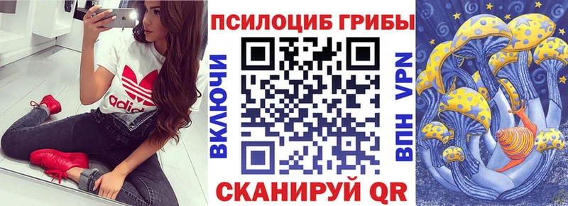 Псилоцибиновые грибы MAGIC MUSHROOMS  Купить  Гудермес 