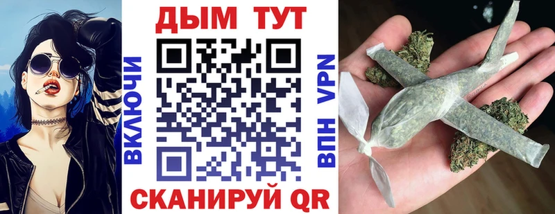 Купить закладки  Гудермес  Бошки марихуана тримм 